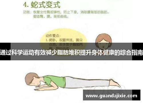 通过科学运动有效减少脂肪堆积提升身体健康的综合指南
